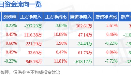 股票行情快报：长源电力（000966）2月11日主力资金净卖出237.23万元