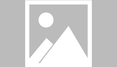 大连电瓷集团股份有限公司