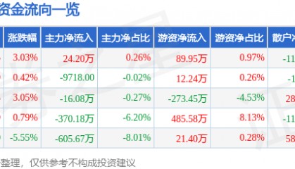 股票行情快报：狄耐克（300884）3月6日主力资金净买入24.20万元