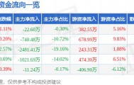 股票行情快报：泰和新材（002254）6月23日主力资金净卖出22.60万元