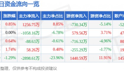 股票行情快报：长源电力（000966）3月24日主力资金净买入1256.75万元