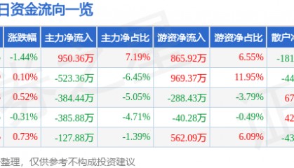 股票行情快报：大连电瓷（002606）2月13日主力资金净买入950.36万元