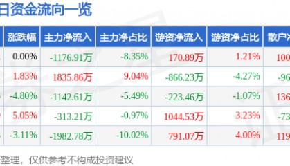 股票行情快报：飞马国际（002210）2月20日主力资金净卖出1176.91万元