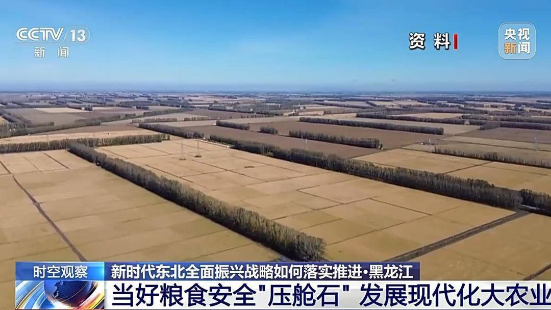 “冷资源”如何变“热产业”？把握东北全面振兴新机遇