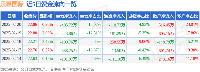 股票行情快报：乐惠国际（603076）2月20日主力资金净卖出405.72万元