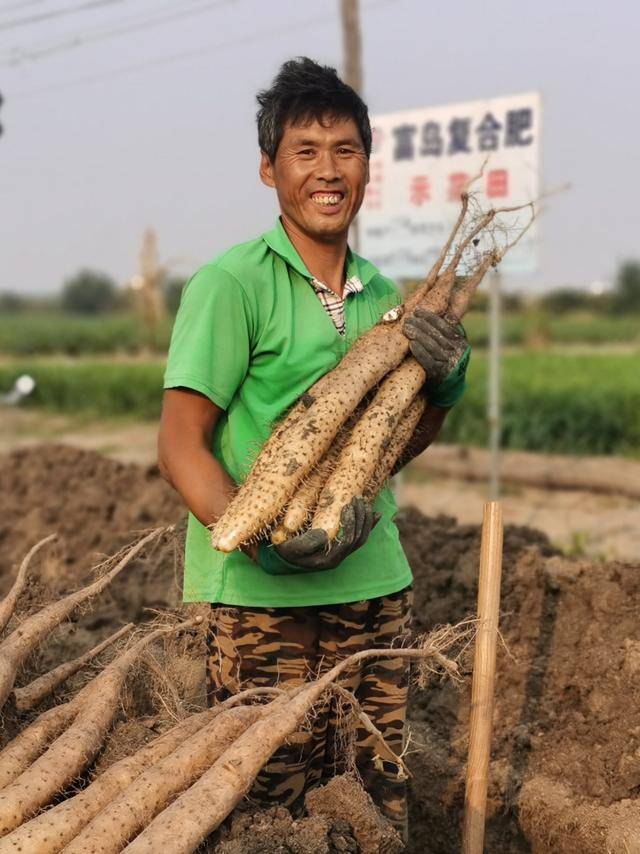中国海油化学保供春耕端好“粮食饭碗”