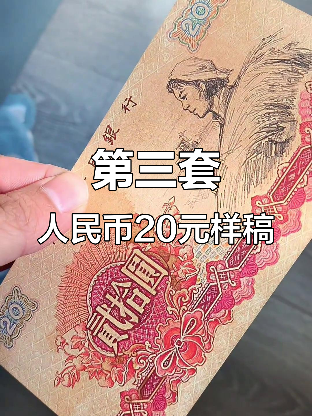 币岁(币岁什么意思) 币岁(币岁什么意思)