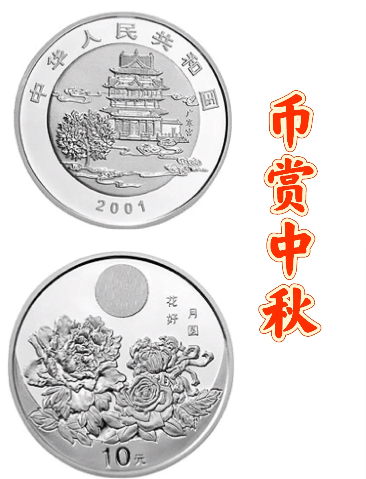 月亮币(月亮币涨了多少倍)