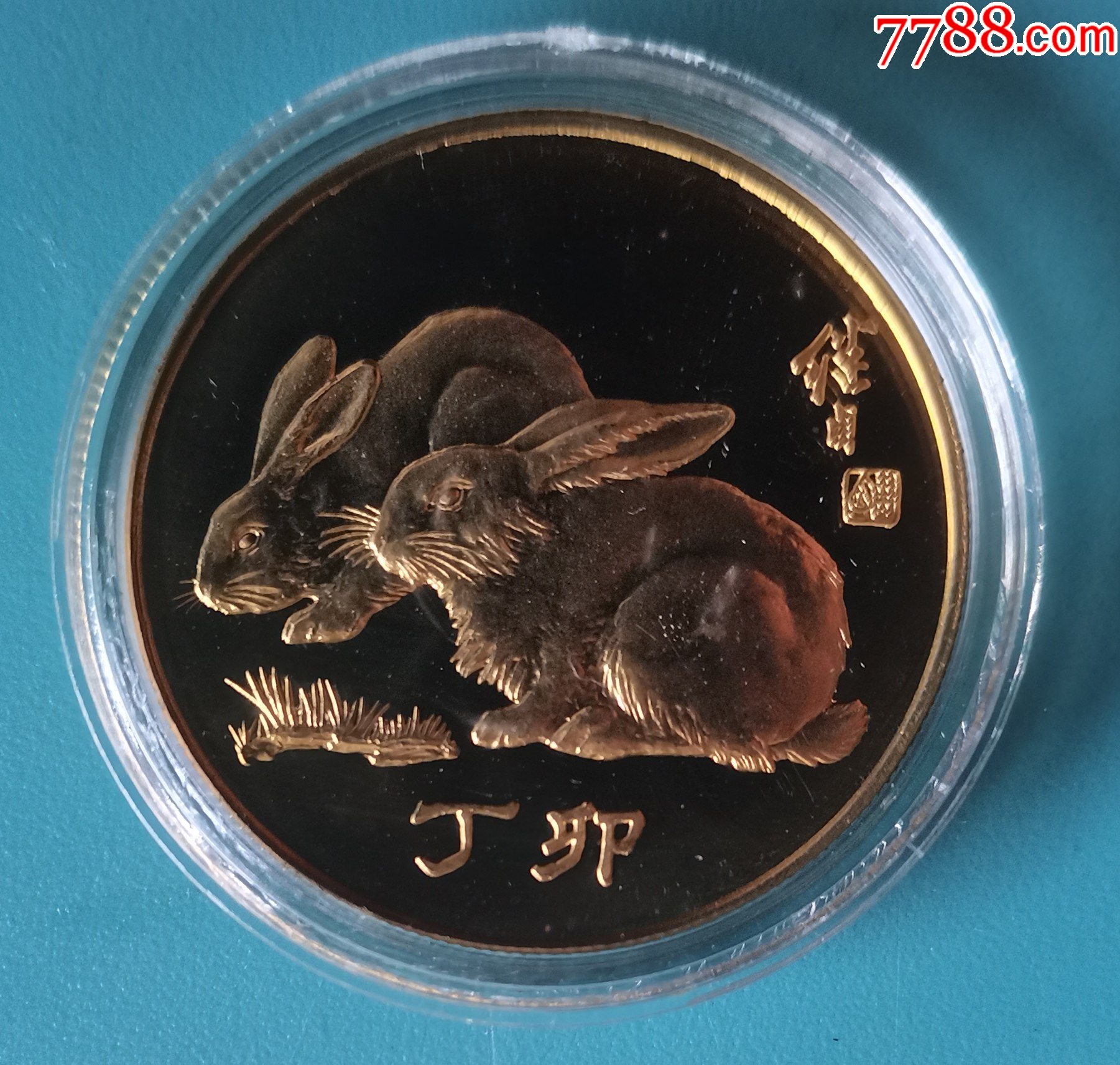 兔子币(兔子币HBY有前景吗)