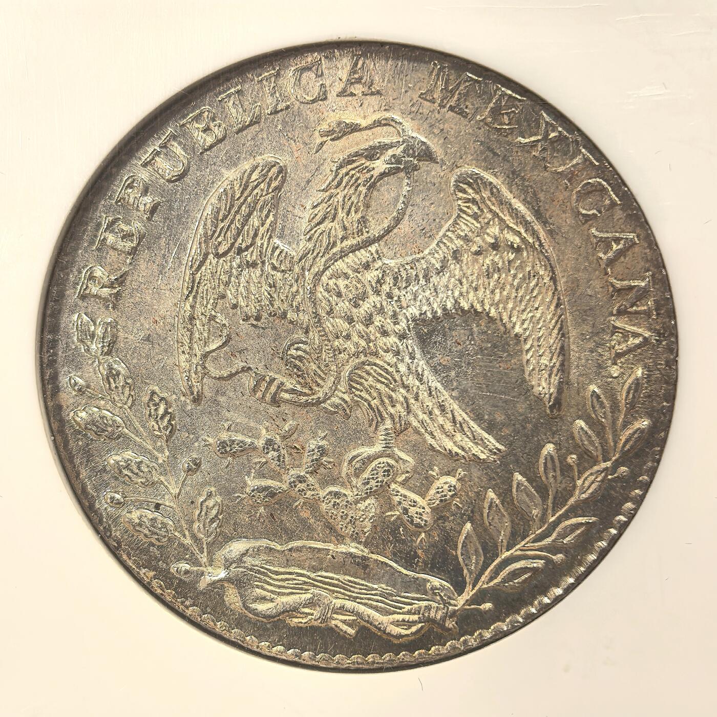 币伯(币伯钱包)