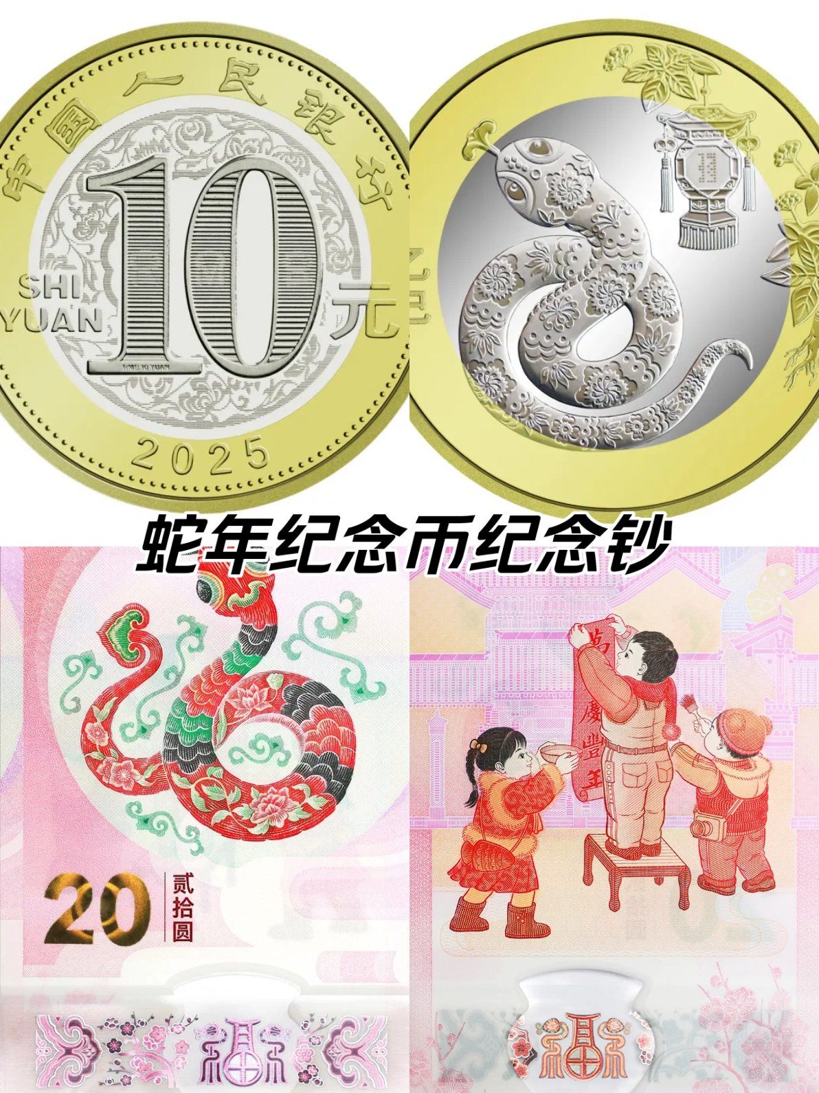 蛇币(蛇币最新价格行情)