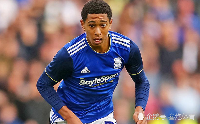 多特币价格(多特币现在状况)