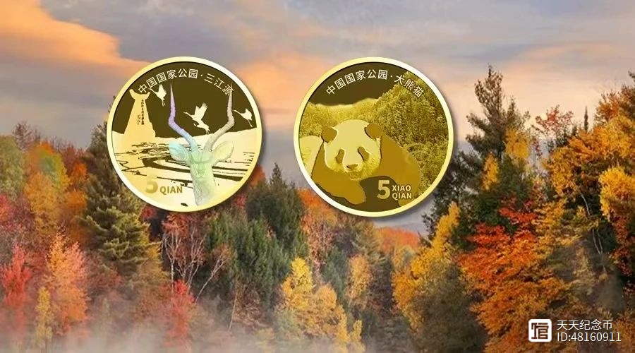 币友会(必有回想)