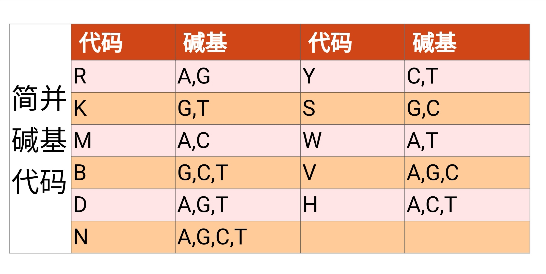 碱基币(剪辑哔哩哔哩)