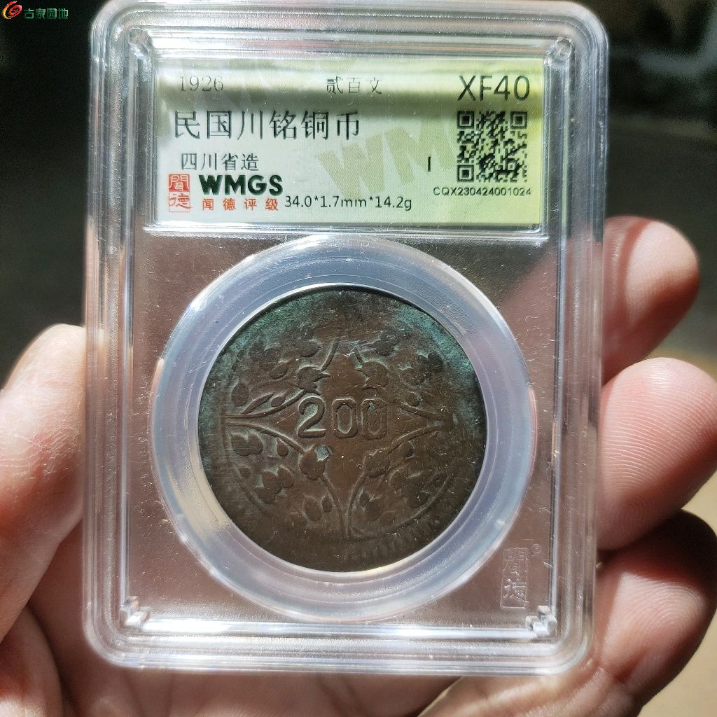 川币(四川有银马兰币的吗)