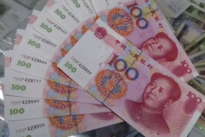 人艮币(人艮币兑日元汇率多少)