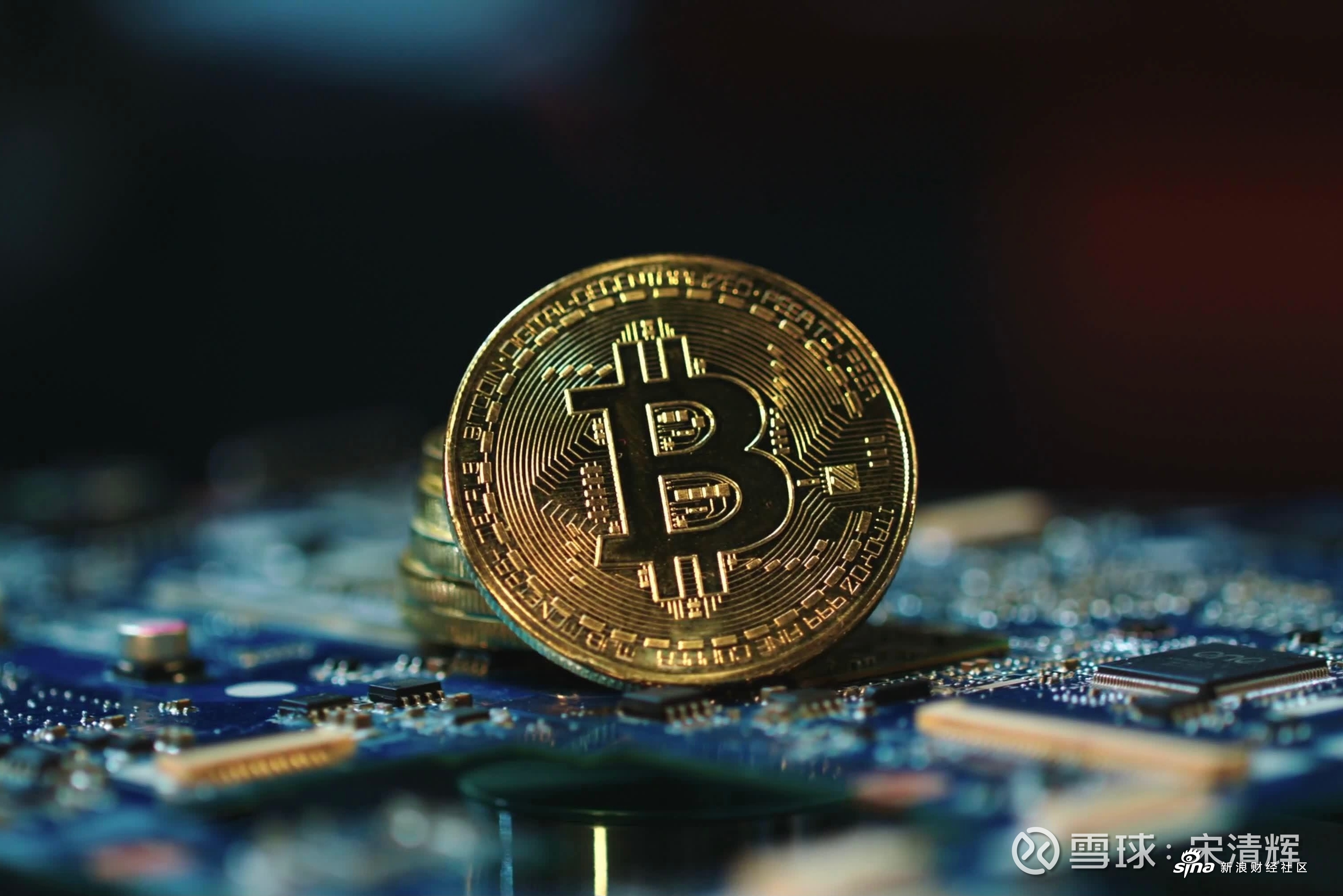 沃币(沃币兑人民币汇率)