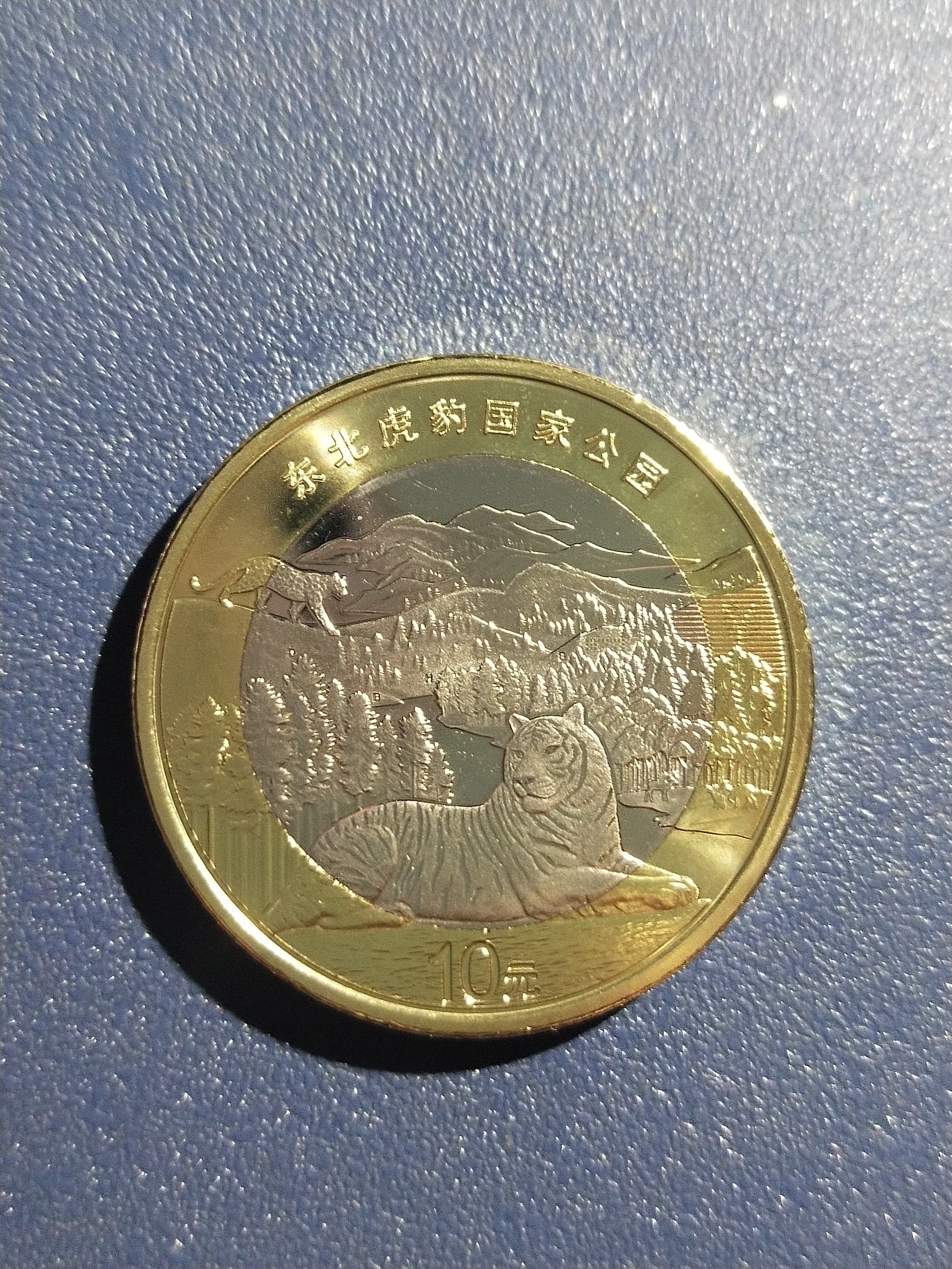 第四套老虎币(第四套老虎币图片)